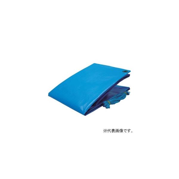 ^JCN u[V[g #3000 ^Cv Egp^Cv ڈ̑傫3 1.8×2.7m ng10t V[gR×4{t BLS-02