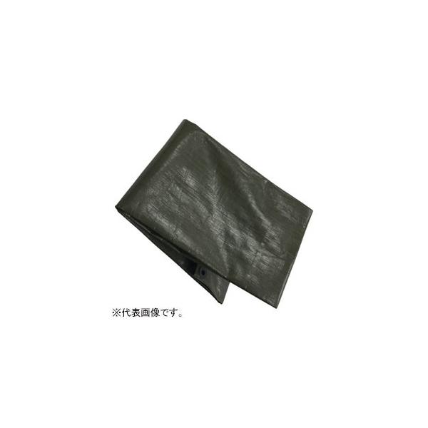 ^JCN ODO[V[g #4000 ^Cv gp^Cv ڈ̑傫24 5.4×7.2m ng28t OGS-414