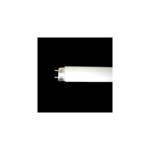  ǌu E5 O[X^[^` 30W 3g`F FL30SEEX-D-H