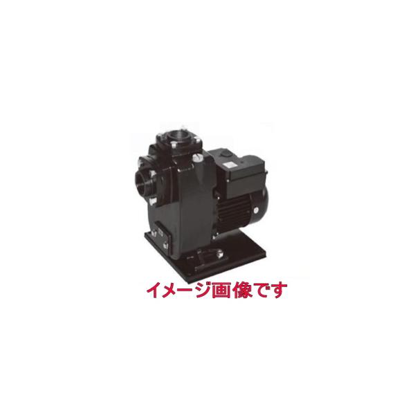 三相電機(SANSO) 25PSZ-2021B 自吸式ヒューガルポンプ 鋳鉄製 50Hz 単