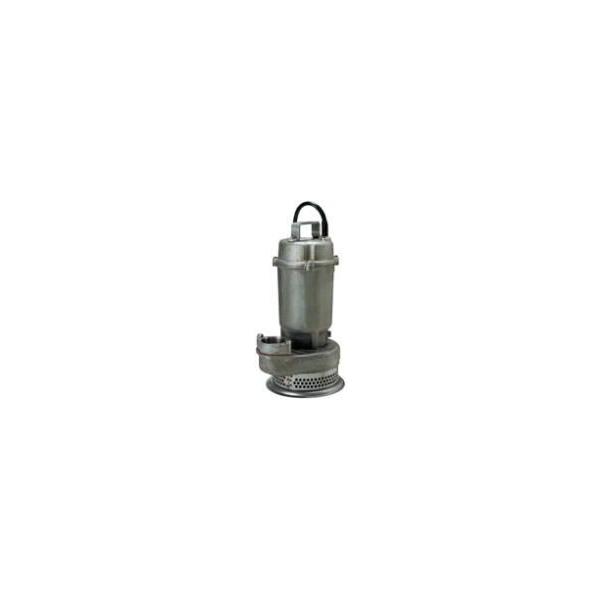 鶴見　ツルミ耐食用ステンレス水中ポンプ　100V 50Hz 新品未使用　50sq dendouki2_trm-50sfq275-50
