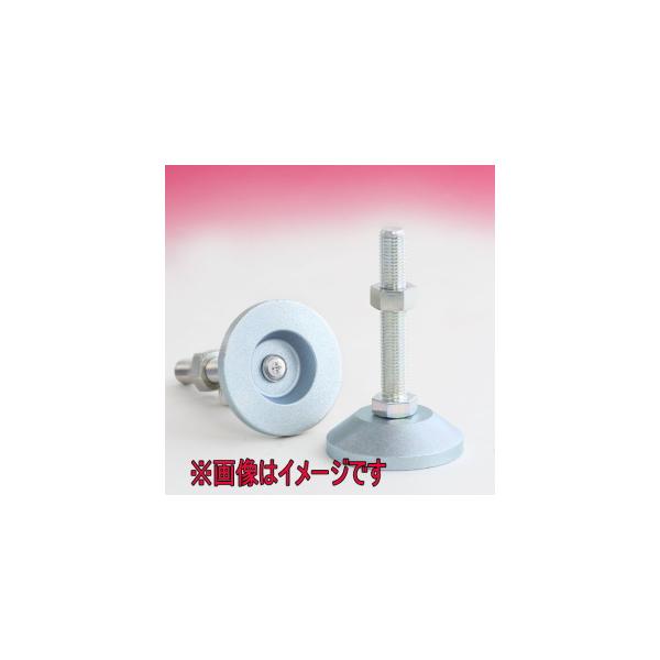 ダイワアドテック (旧大和螺子) HW-20-300 アジャスターボルト 重量用 大径受皿 (旧型番 D-C-L 20X300 )