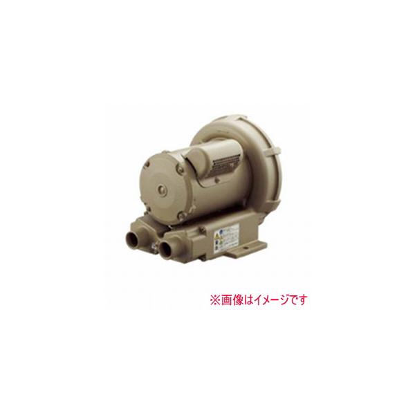 ☆ ① TERAL テラル リングブロワ VFZ301PN 100V ☆ 【公式通販】