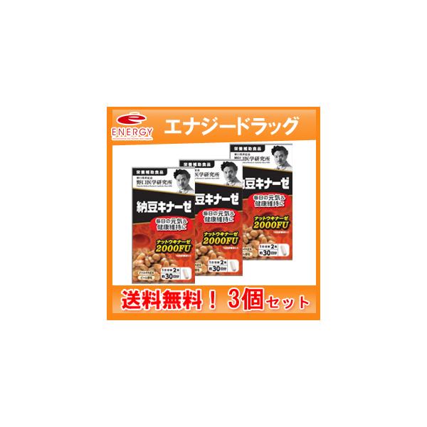 野口医学研究所 納豆キナーゼ (240mg×60粒) ×3個セット 約30日分 栄養