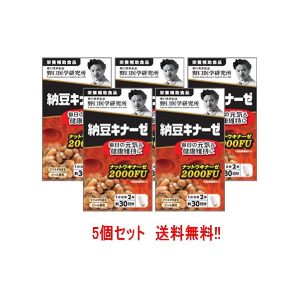 野口医学研究所 納豆キナーゼ (240mg×60粒) ×5個セット 約30日分 栄養