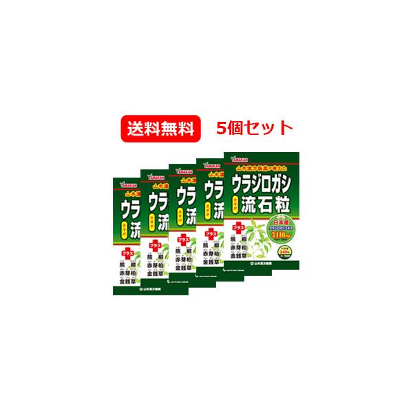 【送料無料！5個セット】【山本漢方】ウラジロガシ 流石粒（さすが粒） 240粒×5個 うらじろがし