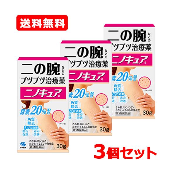 小林製薬 【第3類医薬品】【送料無料】【3個セット!!】 ニノキュア