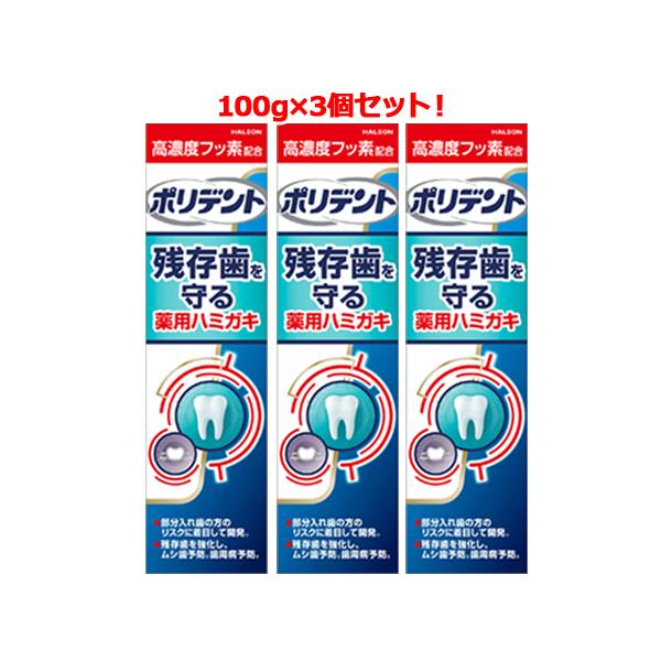 アース製薬 【3個セット】ポリデント デンタルラボ 薬用ハミガキ 100g