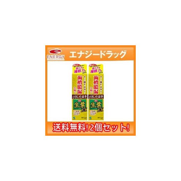 yI2ZbgIzyѐztEX i傤悤EXj 100g@×2Zbg