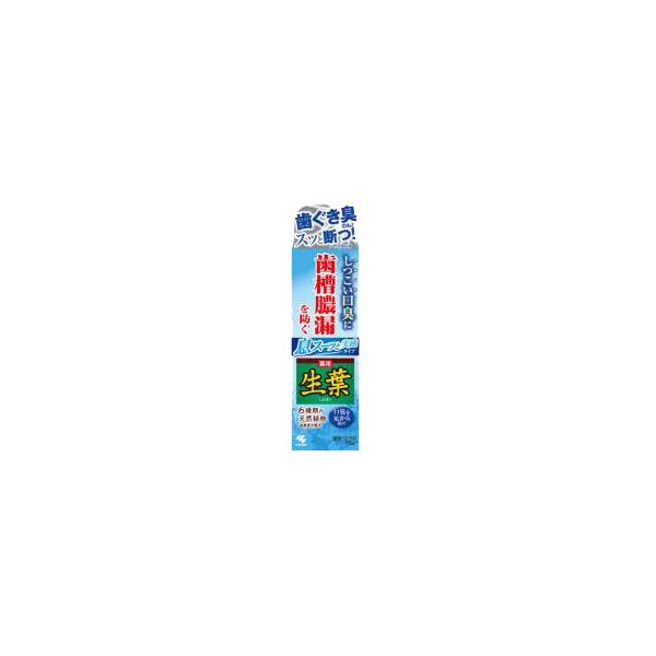 【メール便】【小林製薬】生葉Ｉ 息スーッと実感 100g