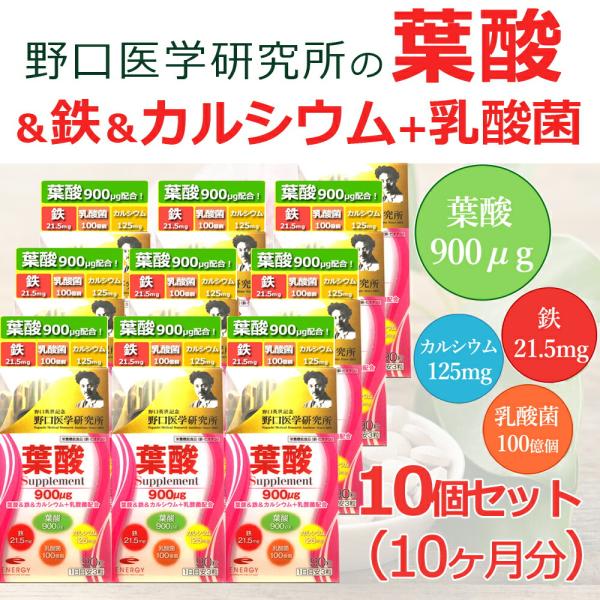 ENERGY（エナジー） 【数量限定】【期限2026年8月まで】まとめ割 送料 