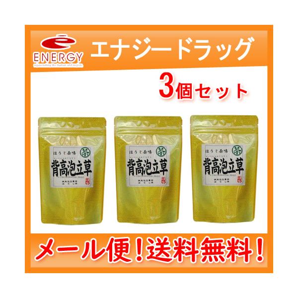 【中郷屋】【メール便！送料無料！】 背高泡立草茶　3g×18包×3個セット