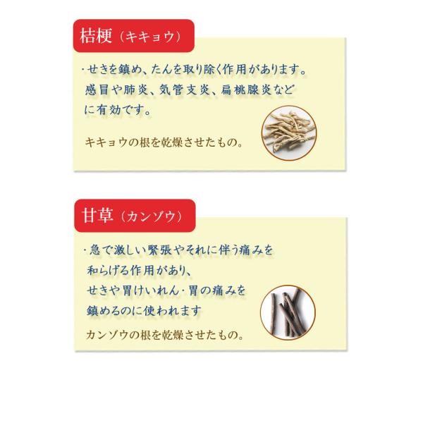 denergy_x-4987876010707-ypt-sk_3