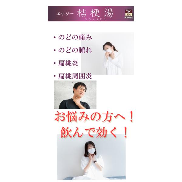 denergy_x-4987876010707-ypt-sk_4