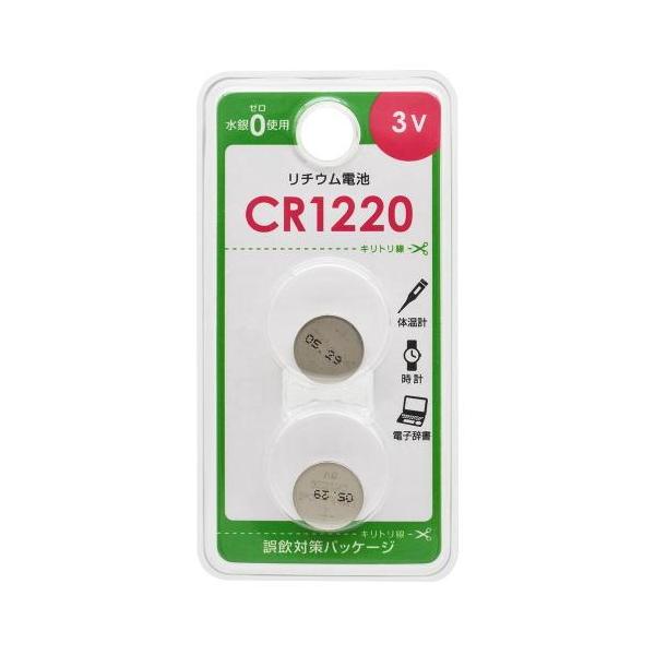 ■電圧：3V■入数：2個