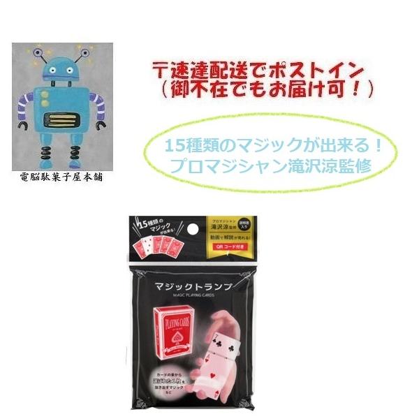 15種類のマジックが出来る！ プロマジシャン滝沢涼監修のマジック