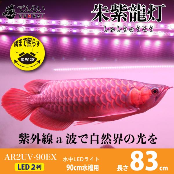 denraiasia_ar2-90uv-ex denraiasia_ar2-90uv-ex