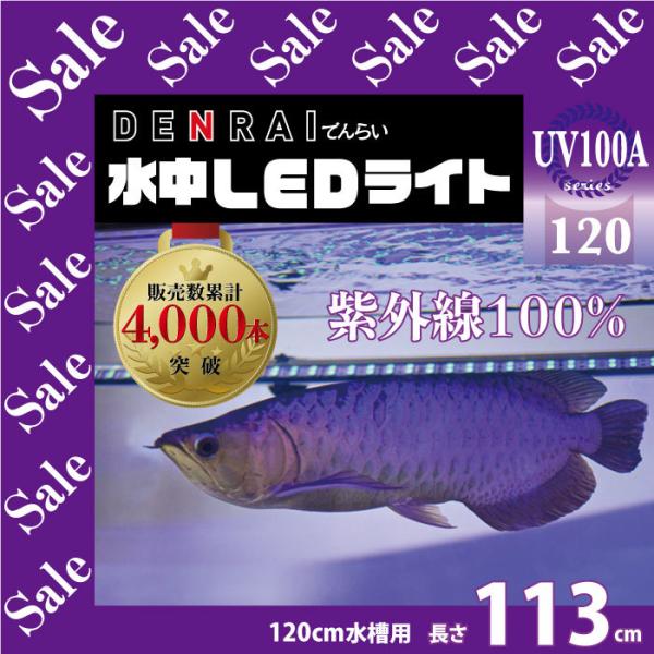 早割クーポン アウトレット アロワナ ライト 照明 ナイトメロー 紫外線100 Led 水中 アクアリウム アジアアロワナ 金龍 紅龍 1cm水槽用 でんらい Uv100 A 1 Www Afwakm Com