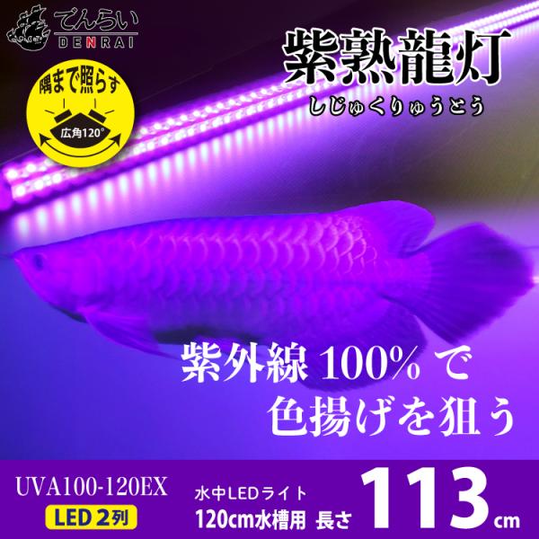 denraiasia_uv100-a-120ex denraiasia_uv100-a-120ex