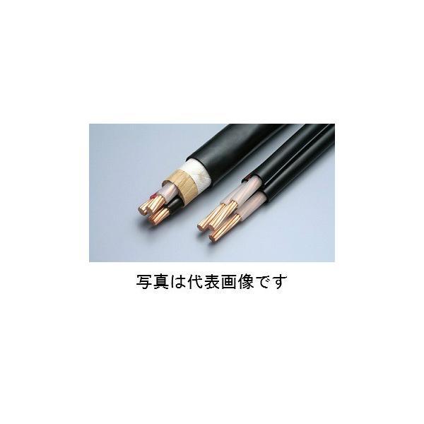 フジクラダイヤケーブル CV8SQ×3C 100m巻 600V CVケーブル :22009102:電材BLUEWOOD ヤフー店 - 通販 - Yahoo!ショッピング フジクラダイヤケーブル CV8SQ×3C 100m巻 600V CVケーブル :22009102:電材BLUEWOOD ヤフー店 - 通販 - Yahoo!ショッピング