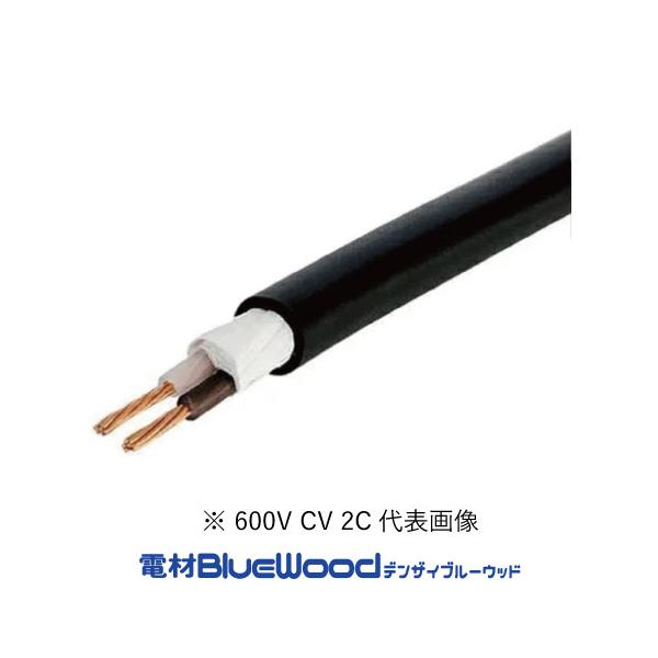 在庫有り(翌営業日出荷) CV3.5SQ×2心 600V CVケーブル 切売 10m以上1m単位 ※フジクラもしくはHSTにて出荷