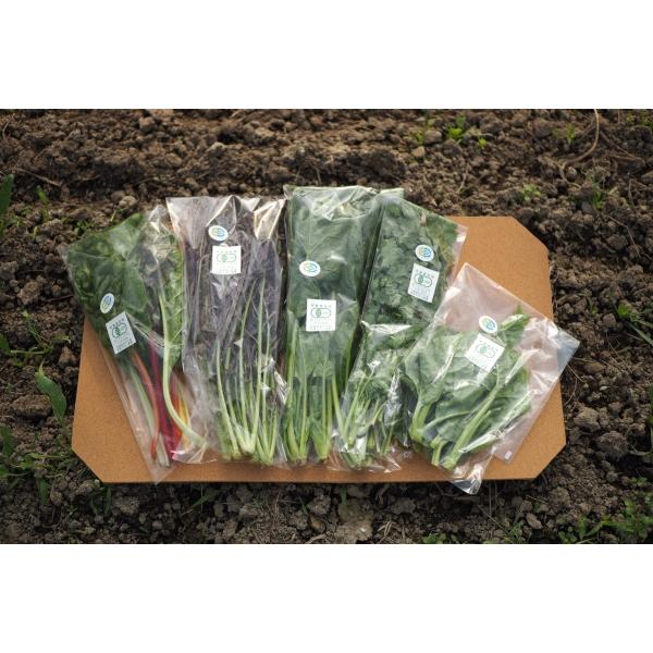 神戸　池上農園の無農薬野菜。”美容と健康”がモットーの野菜作り。土作りから収穫まで安心安全を心掛け自然界の力を最大限に活用。栄養価の面でも抗酸化力（アンチエイジング）が通常の1.5倍〜2倍の数値を検出。味はもちろん栄養価も高いお野菜です！！...