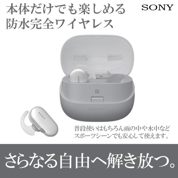 SONY（ソニー） 【ラッピング可】【即日発送】【新品】【海外仕様