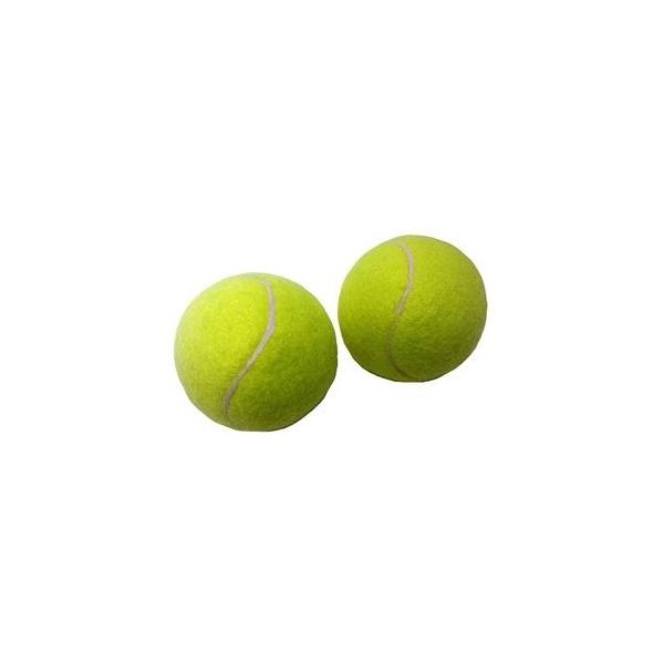 硬式テニスボール 2個の人気商品・通販・価格比較 - 価格.com