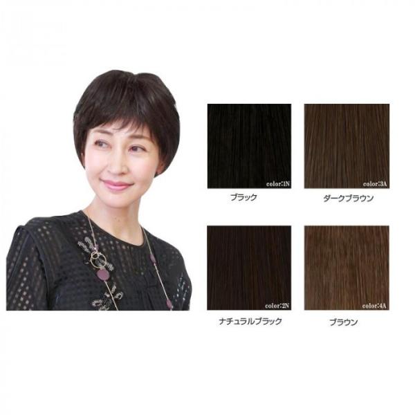 白髪 かつら メンズの通販 価格比較 価格 Com