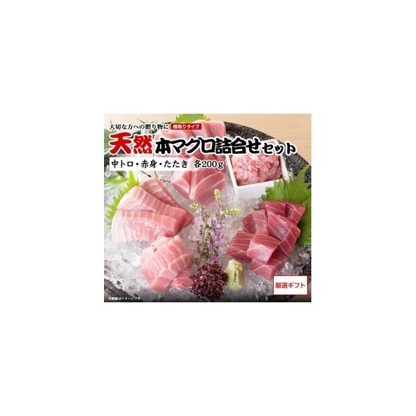 ds-1441773 【三崎恵水産】天然本マグロ詰合せセット　（中トロ・赤身・たたき　各200ｇ、醤油・わさび付） (ds1441773)