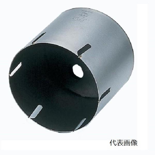 BOSCH(DIY、工具) BOSCH ボッシュ 2X4コア カッター170mm P24 BOSCH(DIY、工具) BOSCH ボッシュ 2X4コア カッター170mm P24