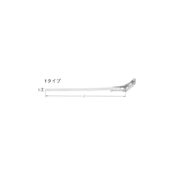 ステンレスバンド セフター 10mm×600mm 100個入り SFT-N106-100 イワブチ セフター 幅10mm 長さ60cm SUS304 SFT-N106 (10本) 137