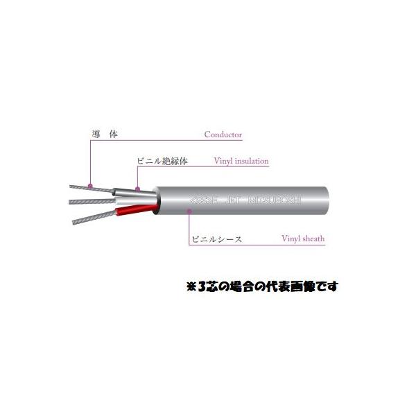 三ツ星　VCTF　2SQ×2C　100m巻　灰色　キャブタイヤケーブル　300V　ケーブル　電線　VCTF　2芯　インボイス領収書可能
