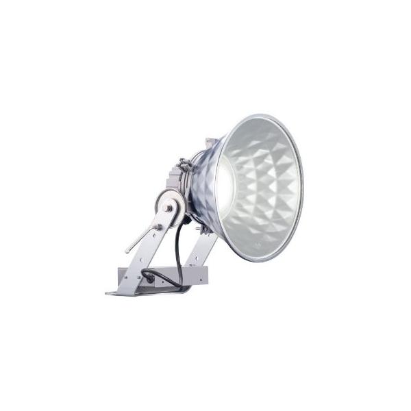 E0403N/SA9/IV岩崎電気 || 【レディオックフラッド エルエー E0403N