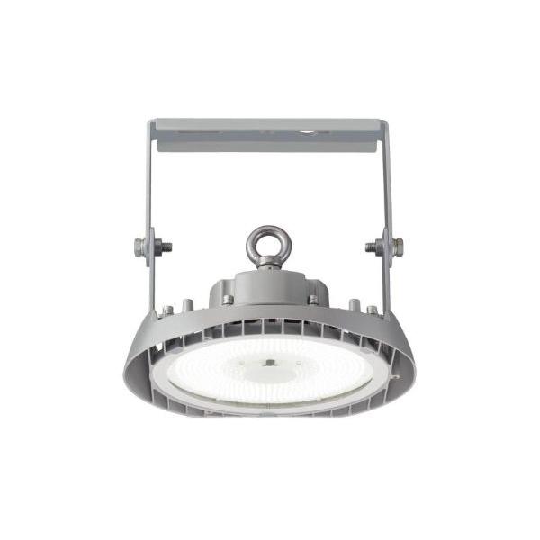 岩崎電気 レディオック ハイベイ シータ EHWP11027W/NSAN9/F 昼白色