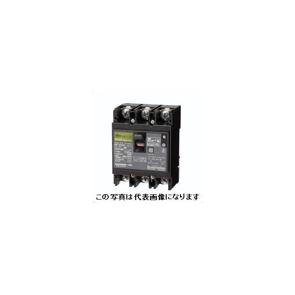 日東工業 GE103CA 3P 100A F30 ELB 定格感度電流30mA 漏電ブレーカ