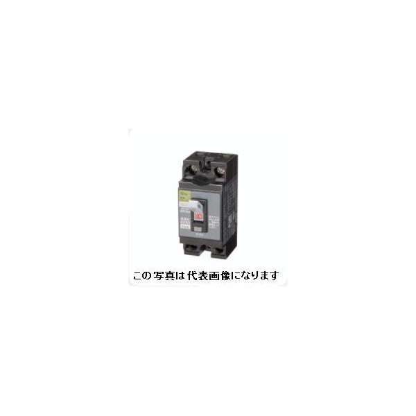 日東工業 GP32CX 2P 20A F15 ELB 感度電流15mA 分岐用漏電ブレーカ