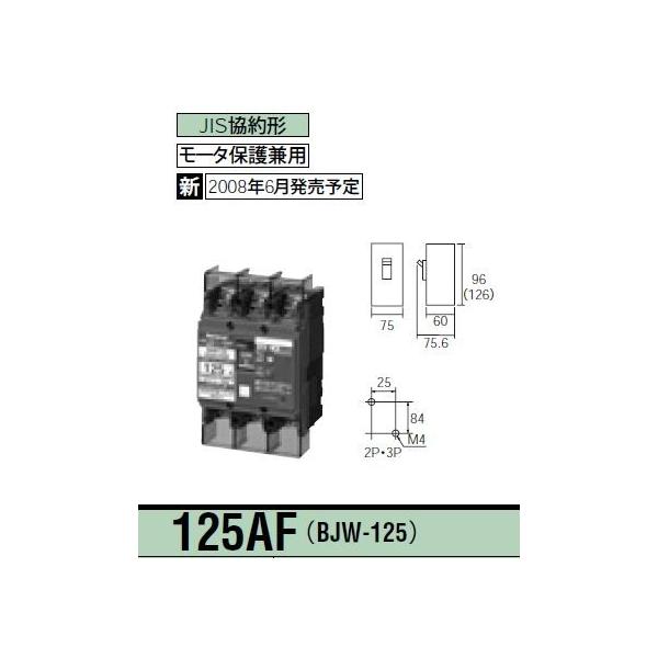 Panasonic パナソニック Panasonic 漏電ブレーカBJW型 125AF Panasonic パナソニック Panasonic 漏電ブレーカBJW型 125AF