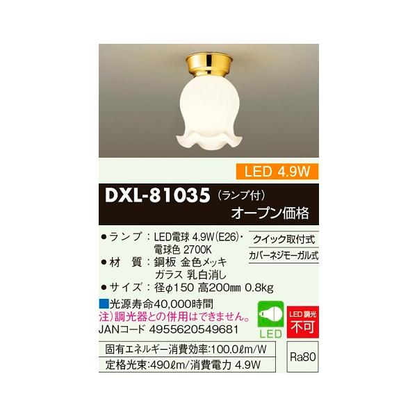 DAIKO（ダイコー） DAIKO DXL-81035 4.9W LED小型直付シーリング