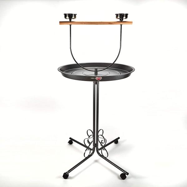 dep-good-choice_hfayb0018cjzqok