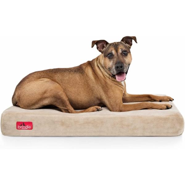 dep-good-choice_hfayb006vd10z4k