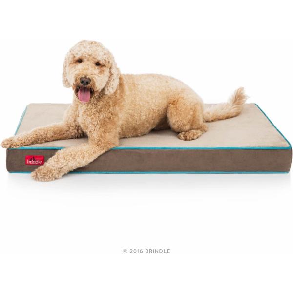 dep-good-choice_hfayb018f3zg16k