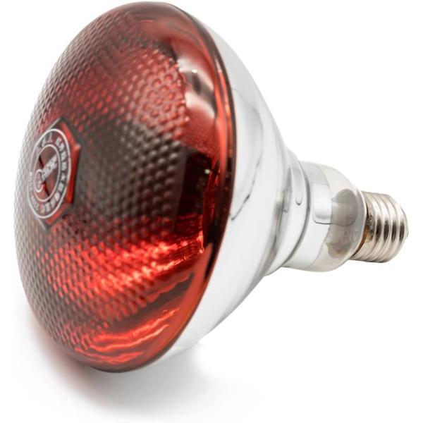 商品名Fengrun赤外線暖房ランプチキン、ペット、バスルームYubaのライト電球ハードはじくガラス(2色、250 W、120 V) M レッドFengrun Infrared Bulb Red Hard Explosion-Proof G...