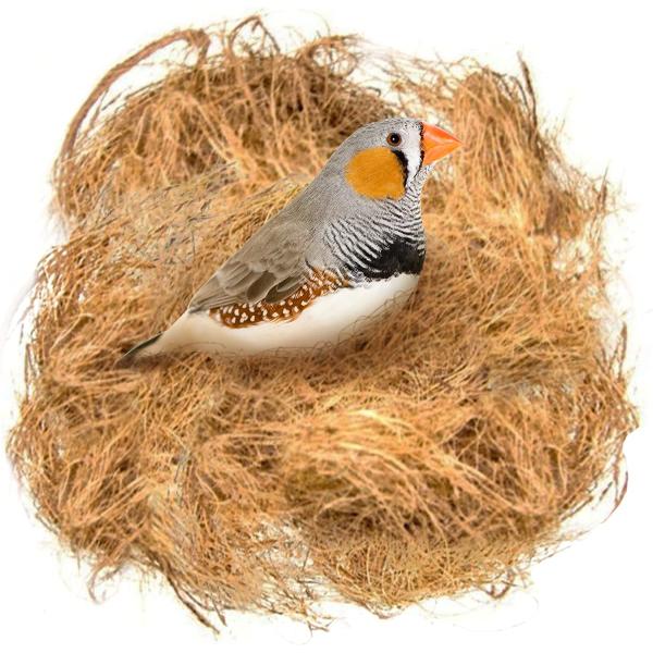 商品名Meric Coconut Fiber for Birds, Parakeet Nesting Material for Comfortable Bedding in Nesting Box, Great for Nest Build...