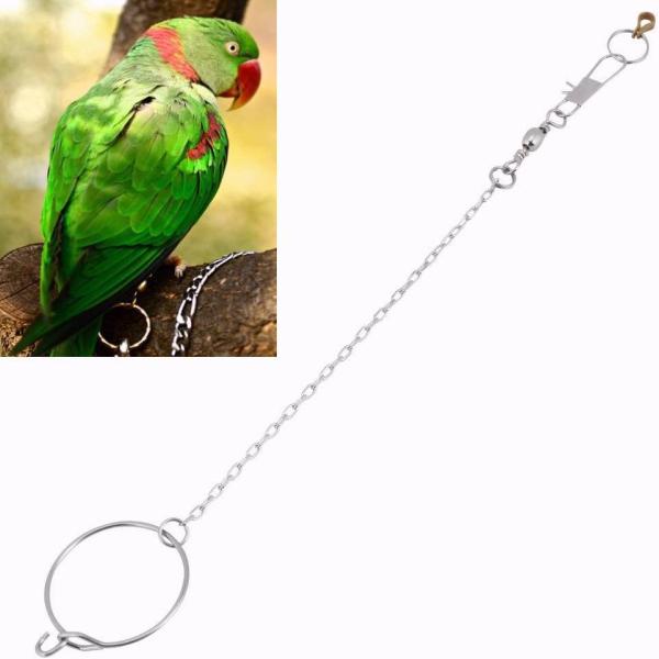 商品名鳥のアンクレットチェーン オウム 足リング ステンレススチール 鳥のリード オウム オープニング アクティビティリング バードスタンド アンクレット ペット 鳥用品 ニャサ ラブバード オカメインコ サン コニュア モンク インコ (...