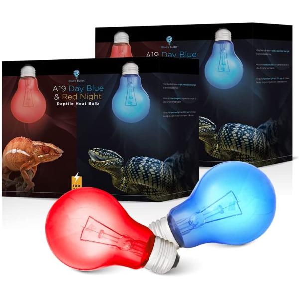 商品名Bluex Bulbs 4 Pack A19 Day Blue &amp; Red Night Reptile Heat Bulb Combo Pack 60W - Terrarium Light &amp; Heat Source ...