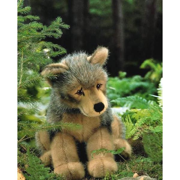 P[ZikosenjЁ@IIJ~̎qEij