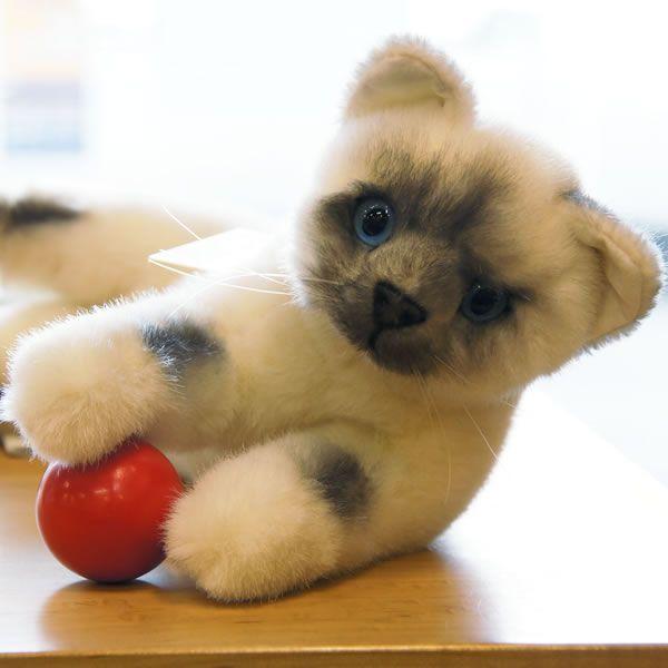 kosen (ケーセン)ヒマラヤンねそべり猫 受注商品】ぬいぐるみ・ねそべり猫ヒマラヤン | KOESEN