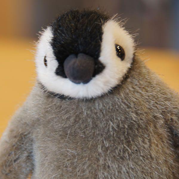 P[Z(Kosen)Ё@cyM̎qi~jj