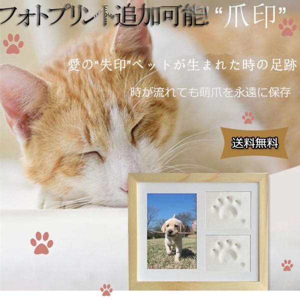 猫壱 猫のおもちゃ キャットタワー トンネル 猫用品 ギガランキングｊｐ